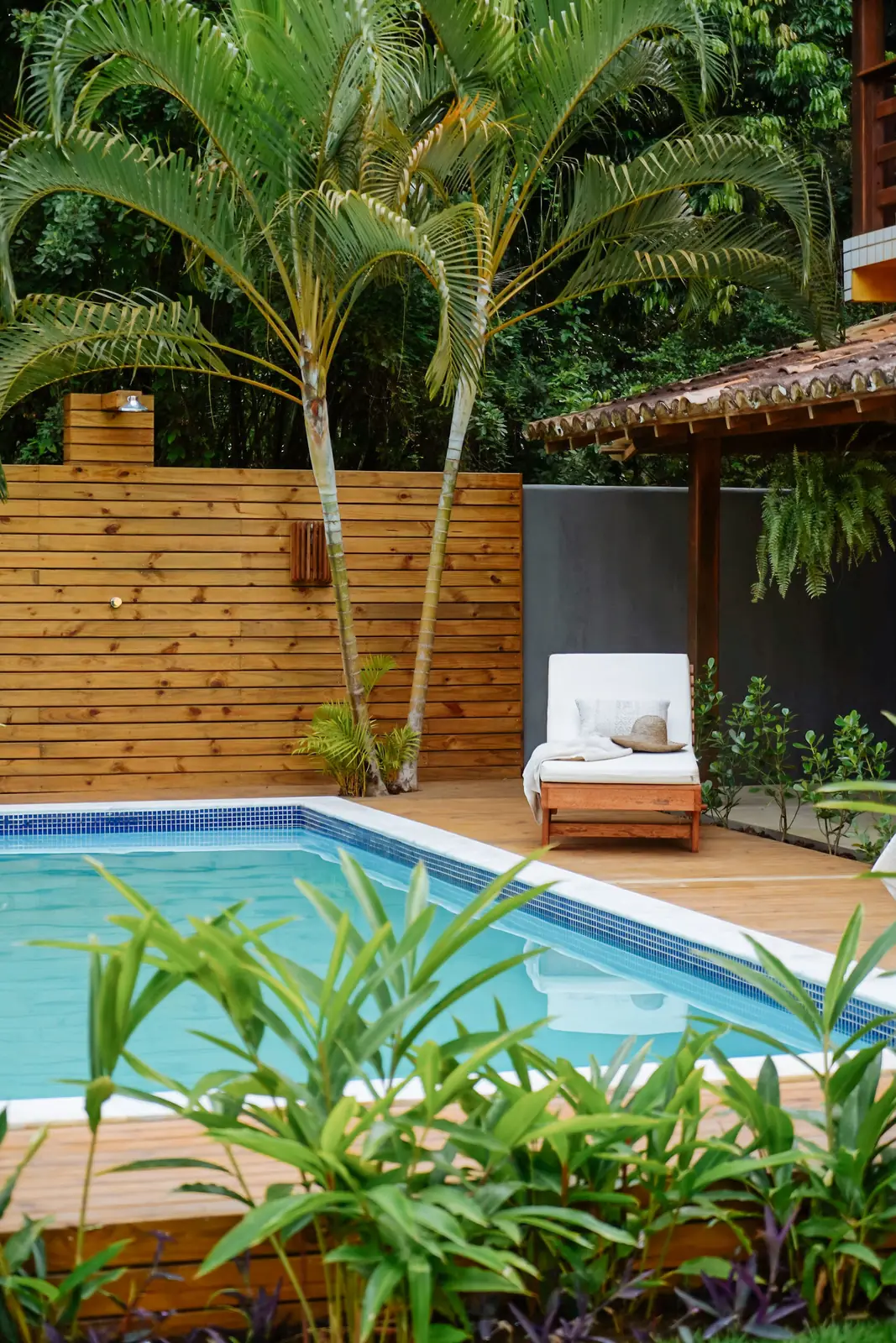 Piscina com deck de madeira e palmeiras